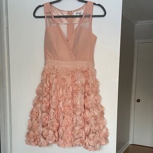 A Drea Blush Pink Dress rose w/ appliqué floral Skirt small S